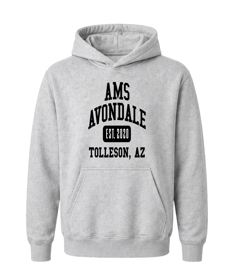 AMS Avondale Collegiate Hoodie