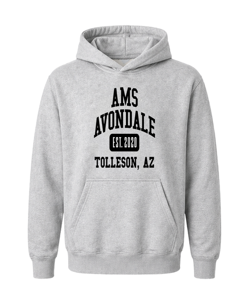 AMS Avondale Collegiate Hoodie
