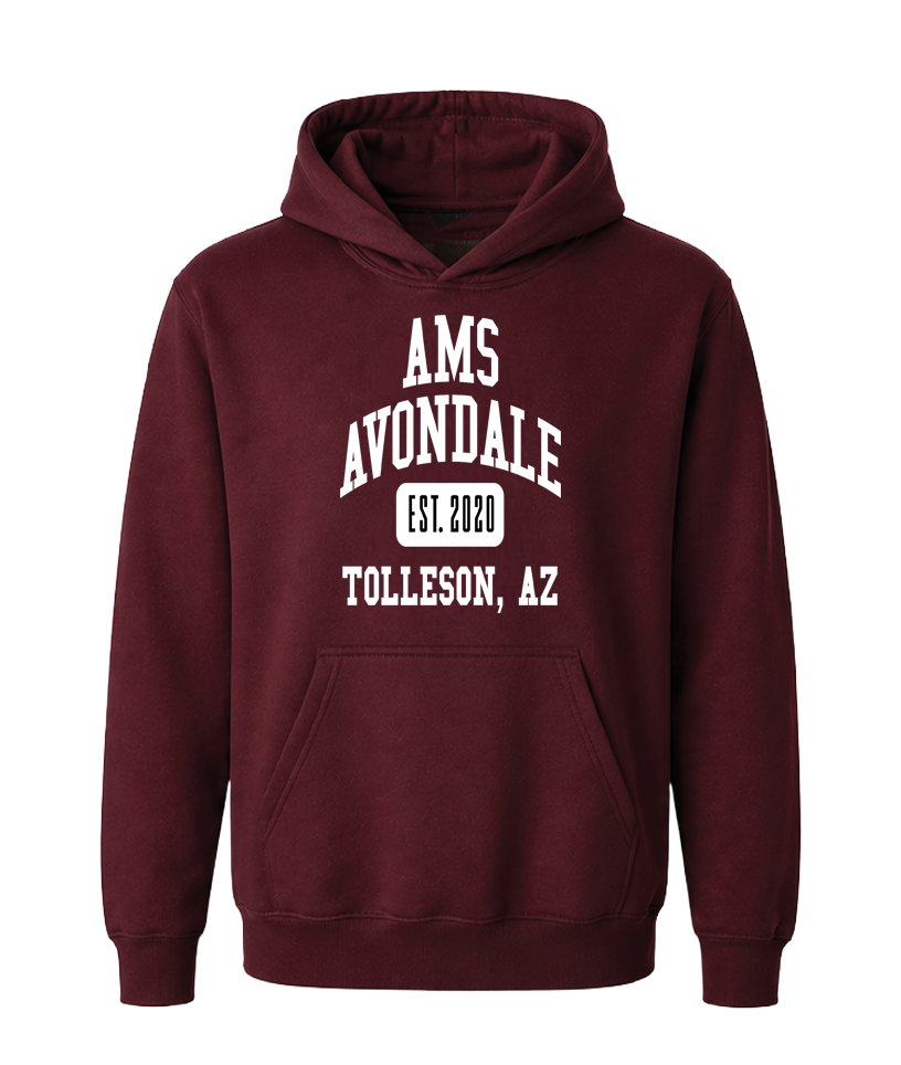 AMS Avondale Collegiate Hoodie